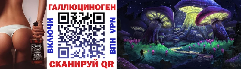 Купить закладки  Ермолино  Псилоцибиновые грибы Psilocybe 