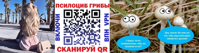 Псилоцибиновые грибы мухоморы Ермолино